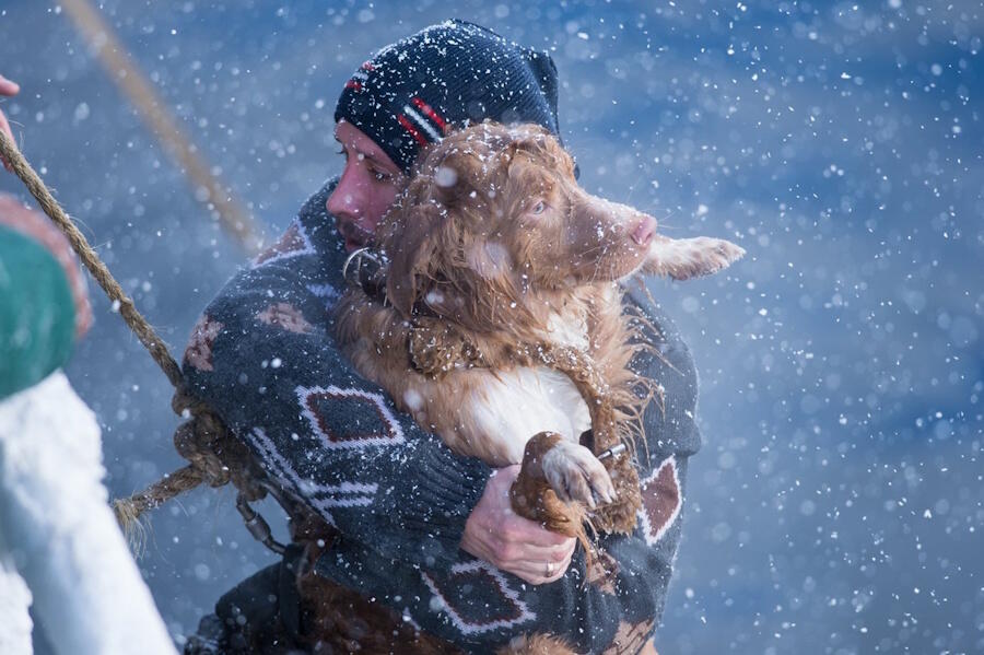 Фильм «Ледокол»: без права на ошибку