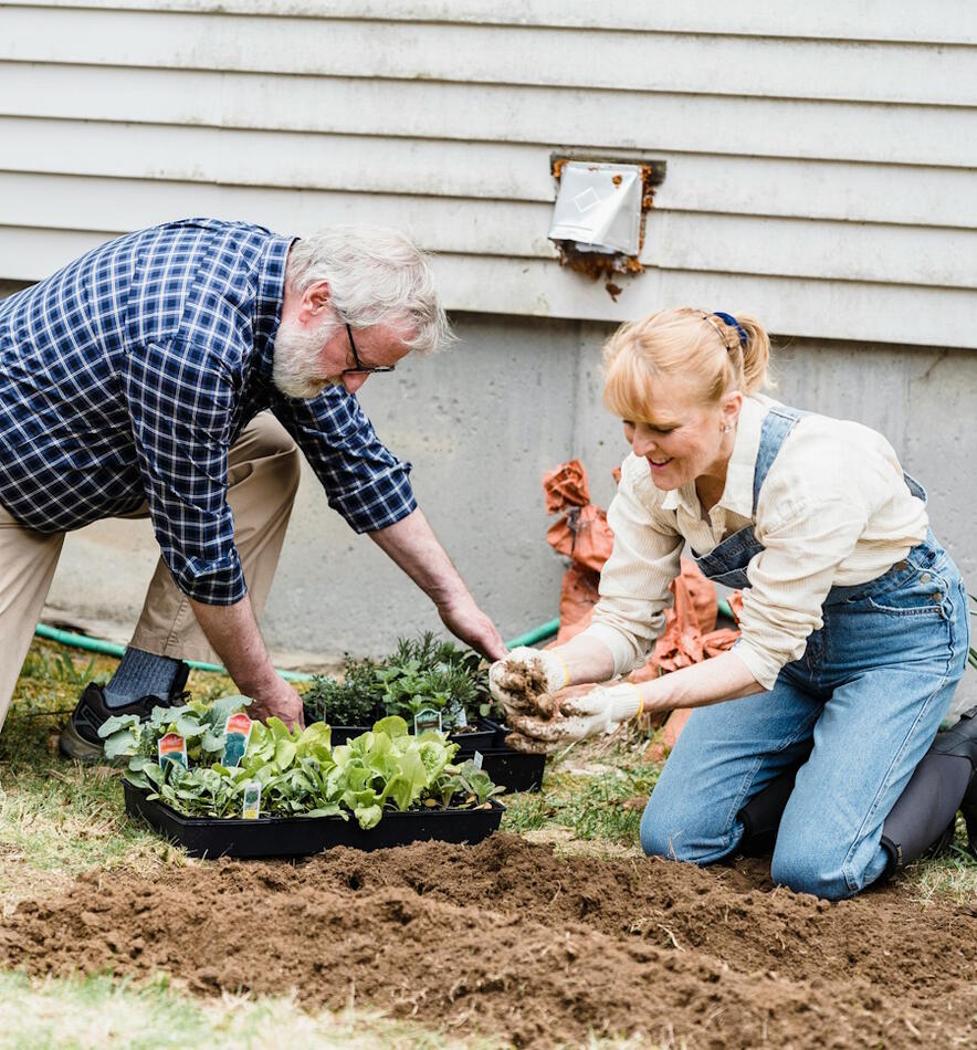 Весна в доме: передачи про дом, сад и дачу