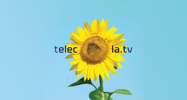 Приложение Telecola Smart для телевизоров Smart TV на базе Android