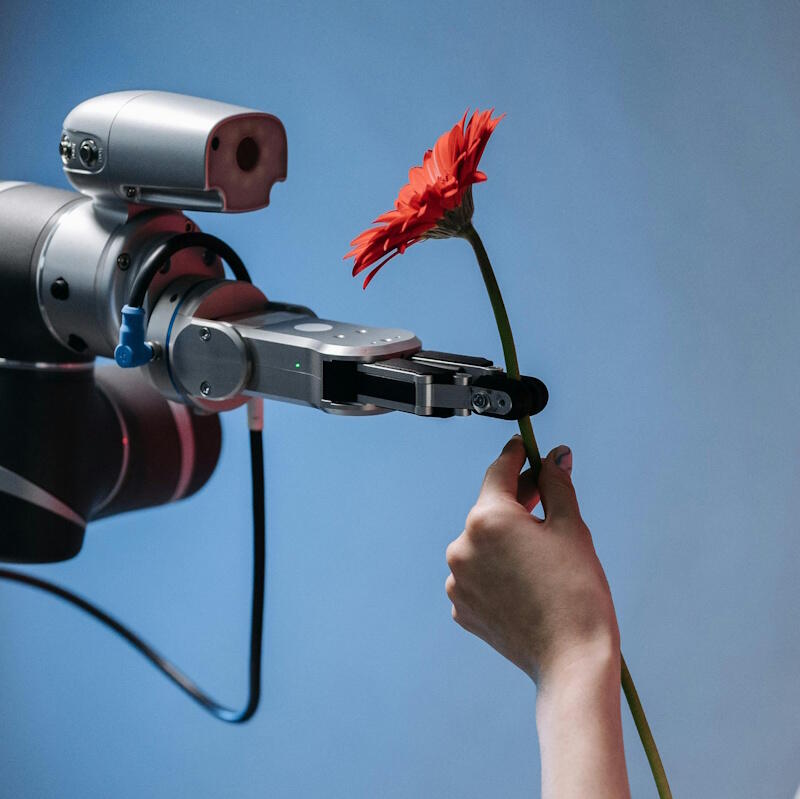 ChatGPT назвал самые популярные фильмы на День Святого Валентина